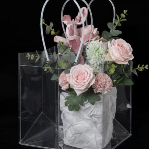 Bolsa Transparente H3 24x11x26 cm