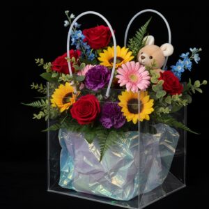 Bolsa Transparente Z3 25X28 cm
